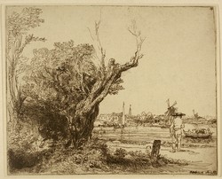 Lot 24